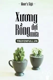 Xương Rồng Đợi Mưa